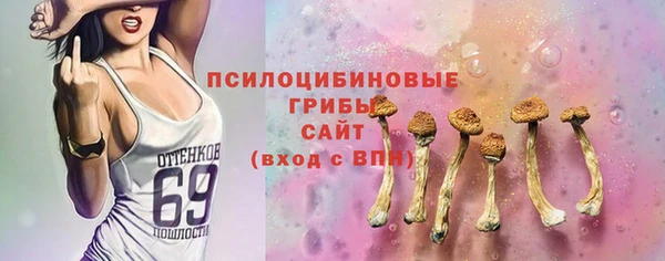 гашик Абинск