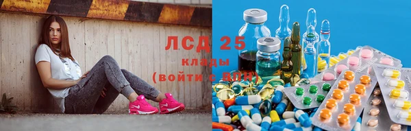 прущие крисы Алзамай