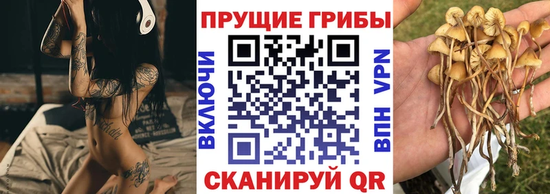 Псилоцибиновые грибы Magic Shrooms  Пошехонье 